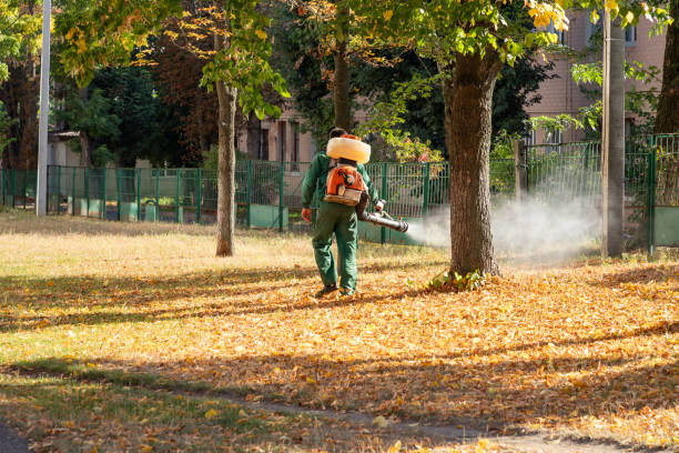 Best Pest Control for Businesses  in Farmersburg, IN