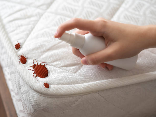 Best Residential Pest Control  in Farmersburg, IN