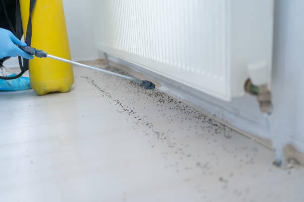 Best Pest Control Near Me  in Farmersburg, IN