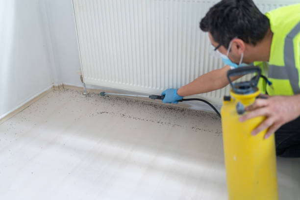 Best Termite Control Services  in Farmersburg, IN
