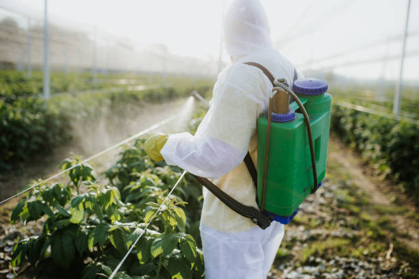 Best Exterminator Services  in Farmersburg, IN